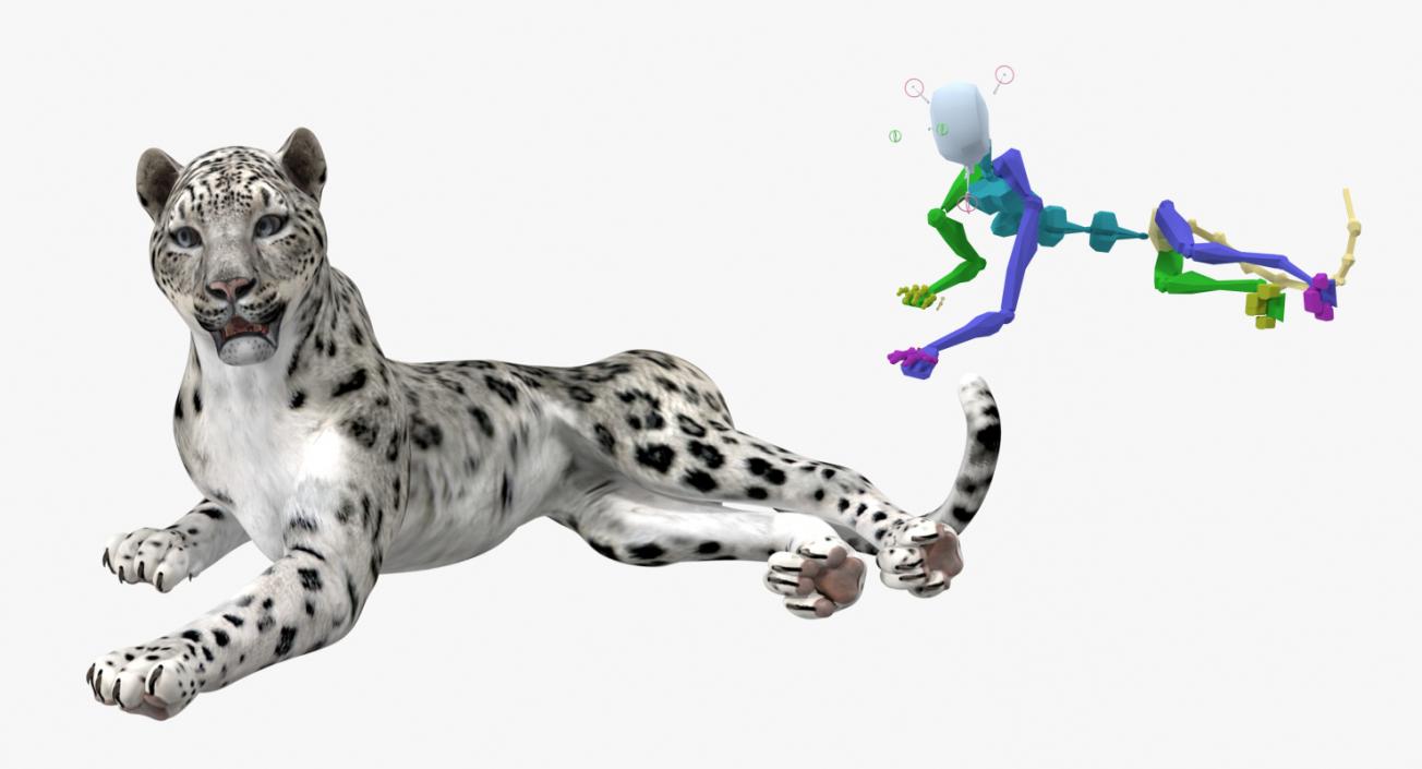 Snow Leopard Rigged 3D model