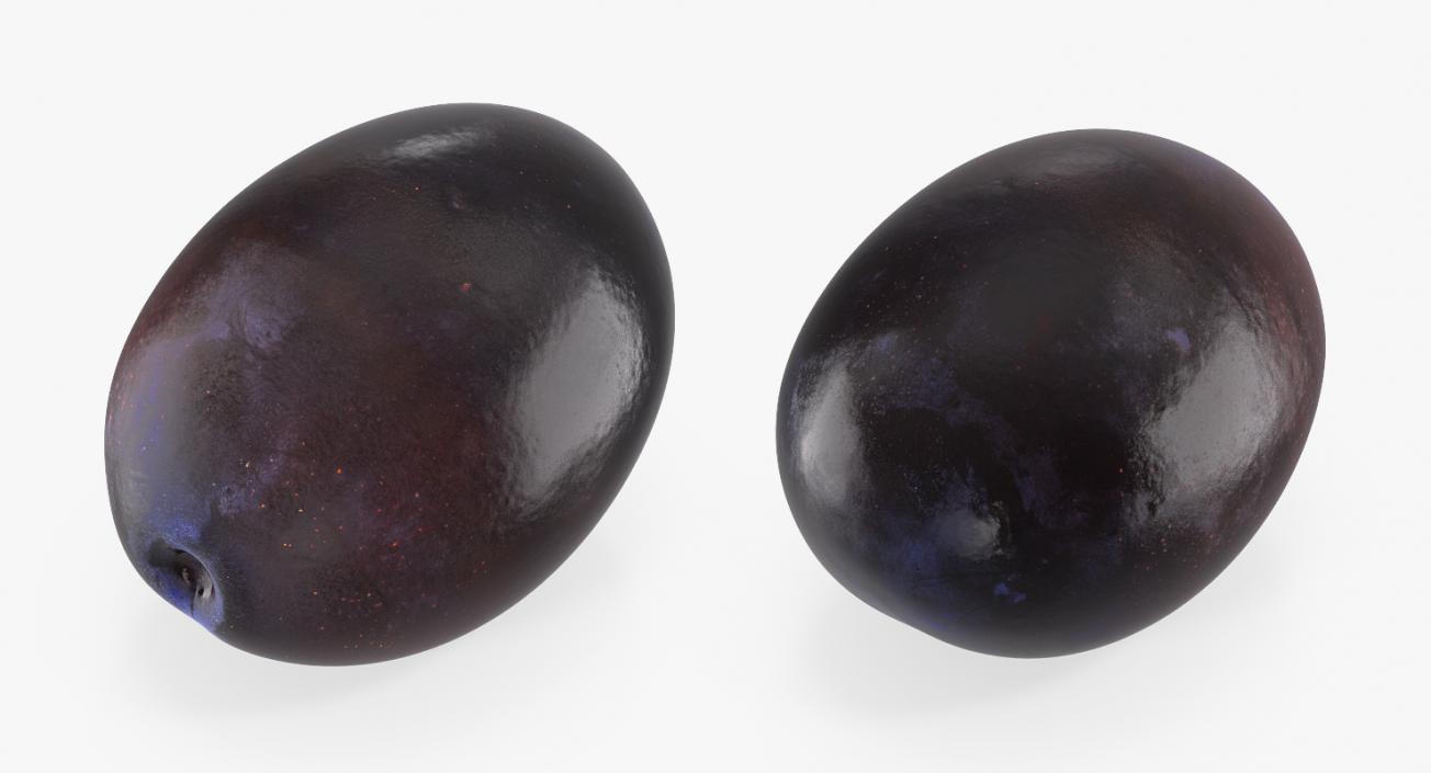 Blue Plum 3D model