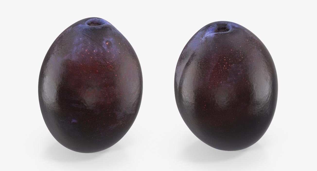 Blue Plum 3D model