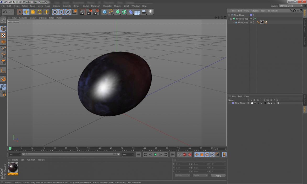 Blue Plum 3D model
