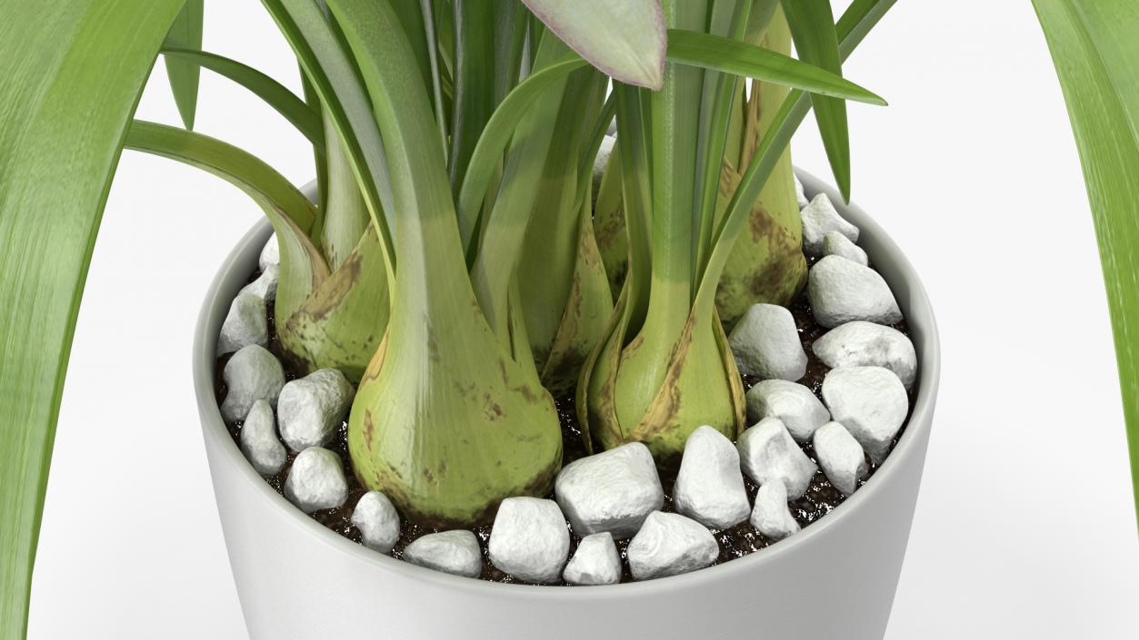 White Orchid Flower Pot Fur 3D