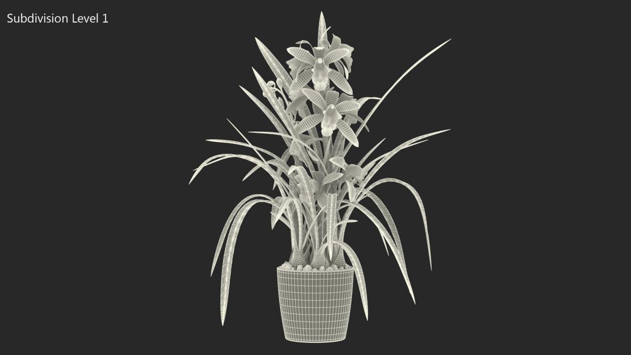 White Orchid Flower Pot Fur 3D