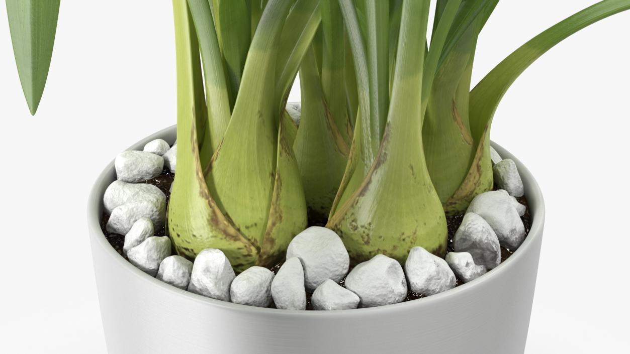 White Orchid Flower Pot Fur 3D