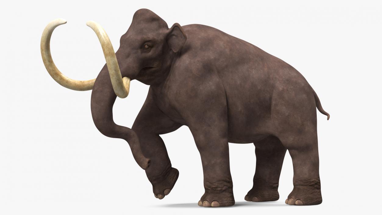 3D model Mammoth Adult Rigged