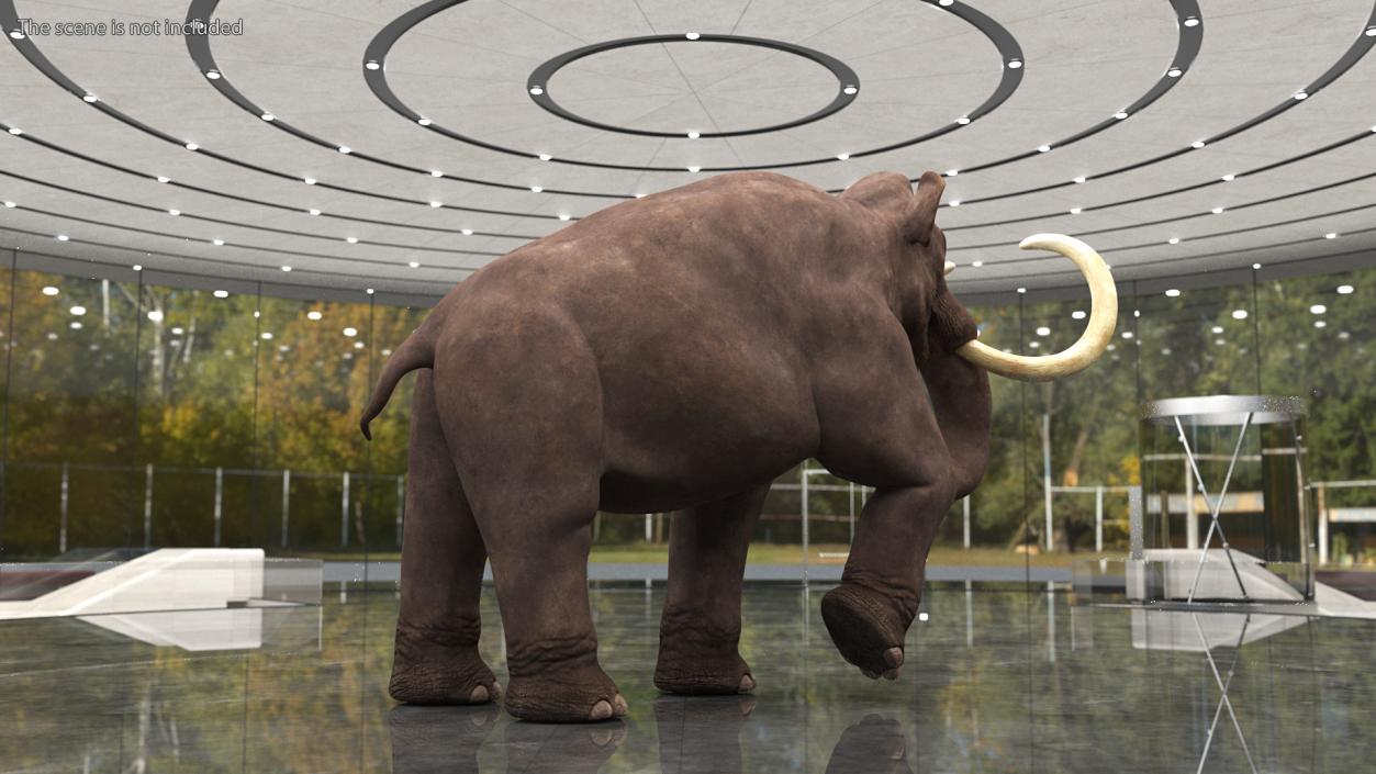 3D model Mammoth Adult Rigged