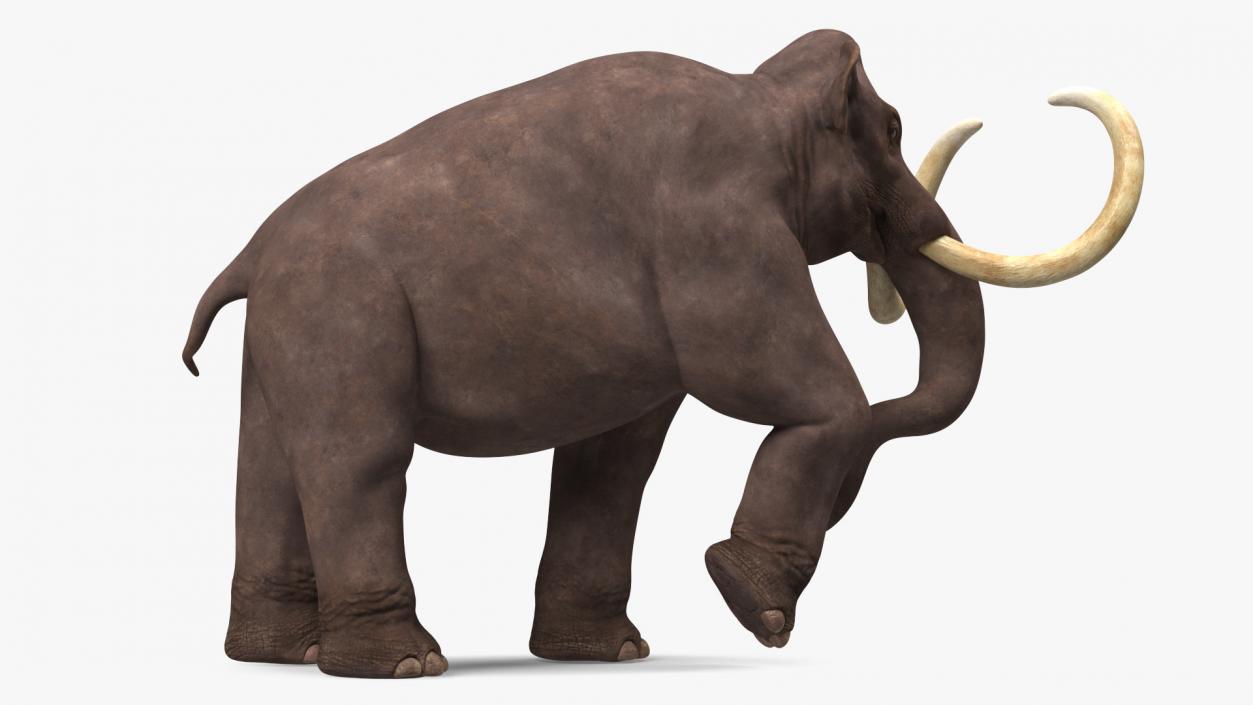 3D model Mammoth Adult Rigged