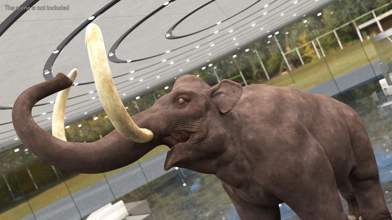 3D model Mammoth Adult Rigged