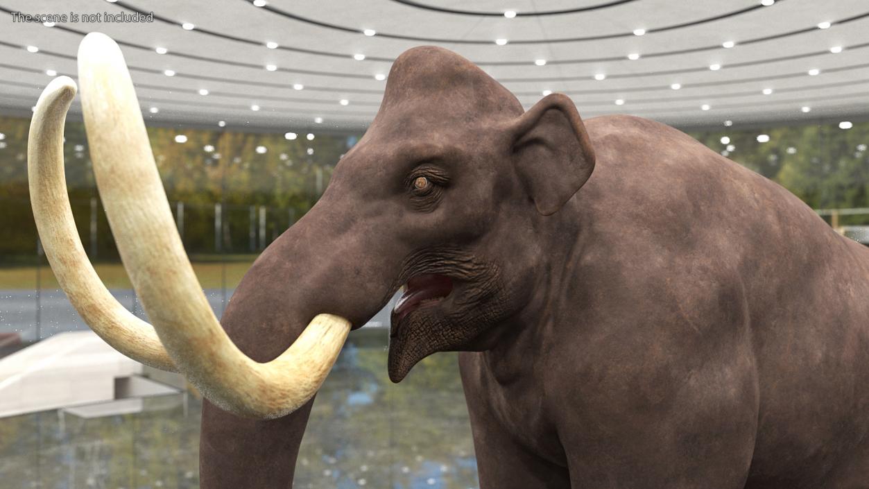 3D model Mammoth Adult Rigged