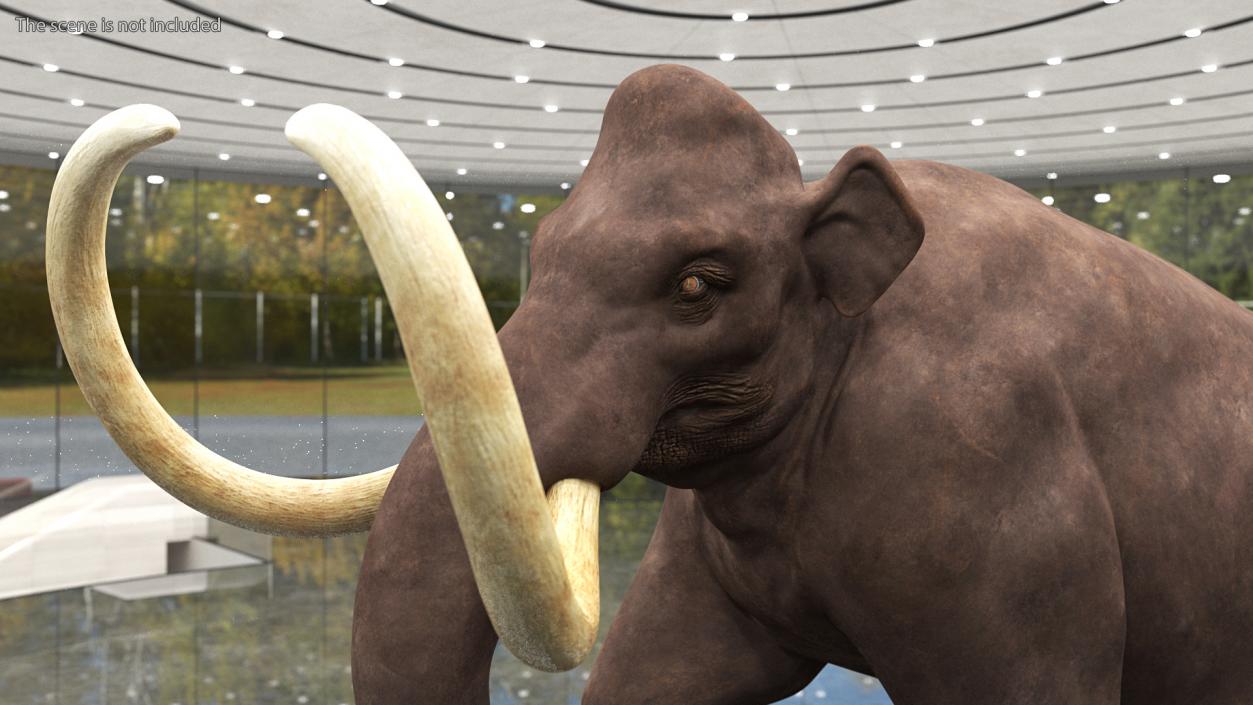 3D model Mammoth Adult Rigged