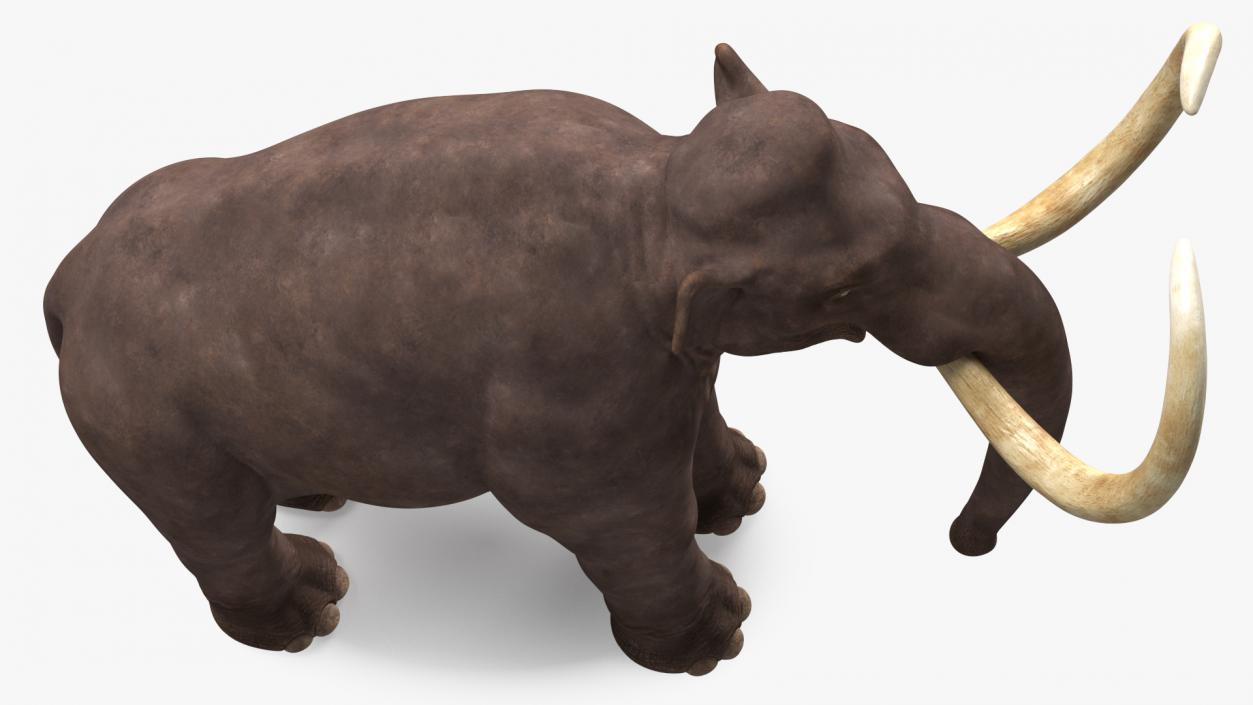 3D model Mammoth Adult Rigged