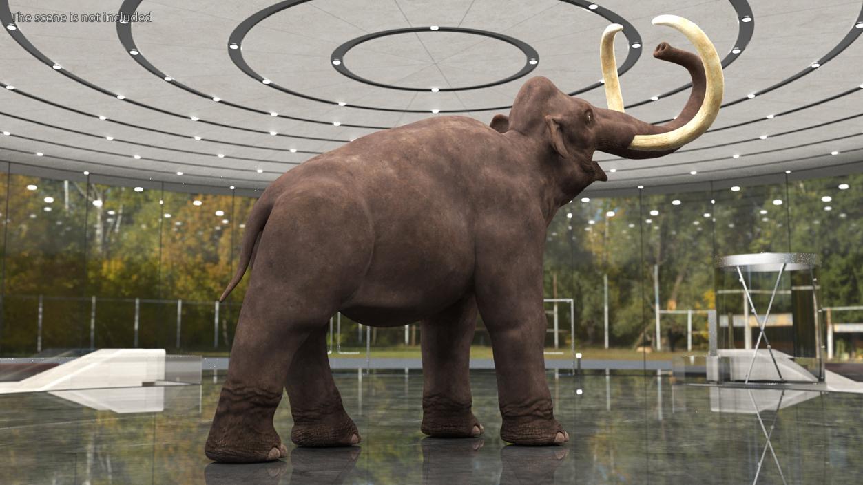 3D model Mammoth Adult Rigged