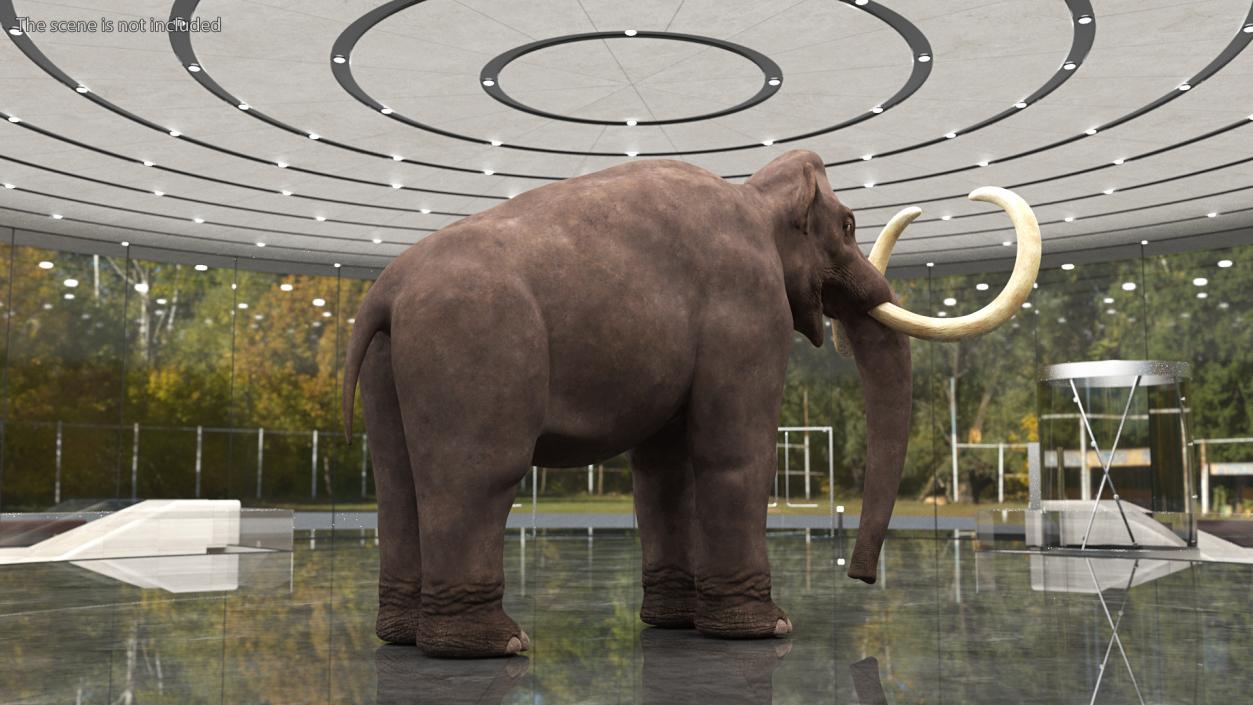 3D model Mammoth Adult Rigged