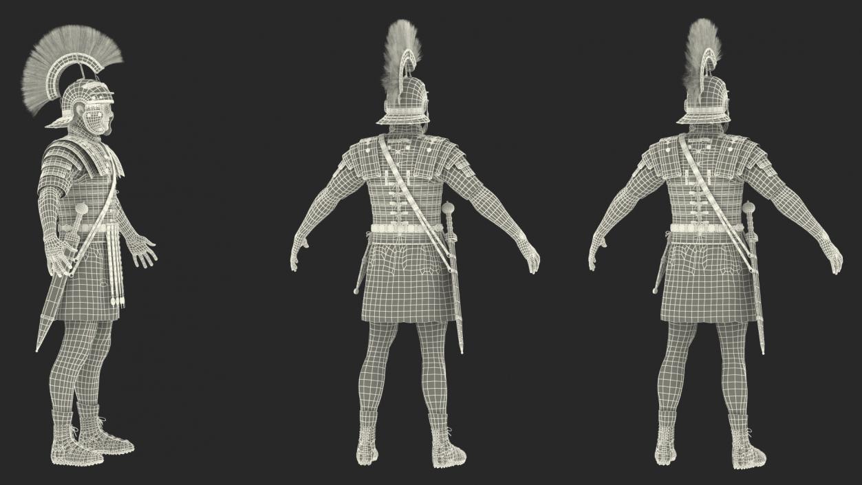 3D Veteran Roman Legionnaire Fur Rigged