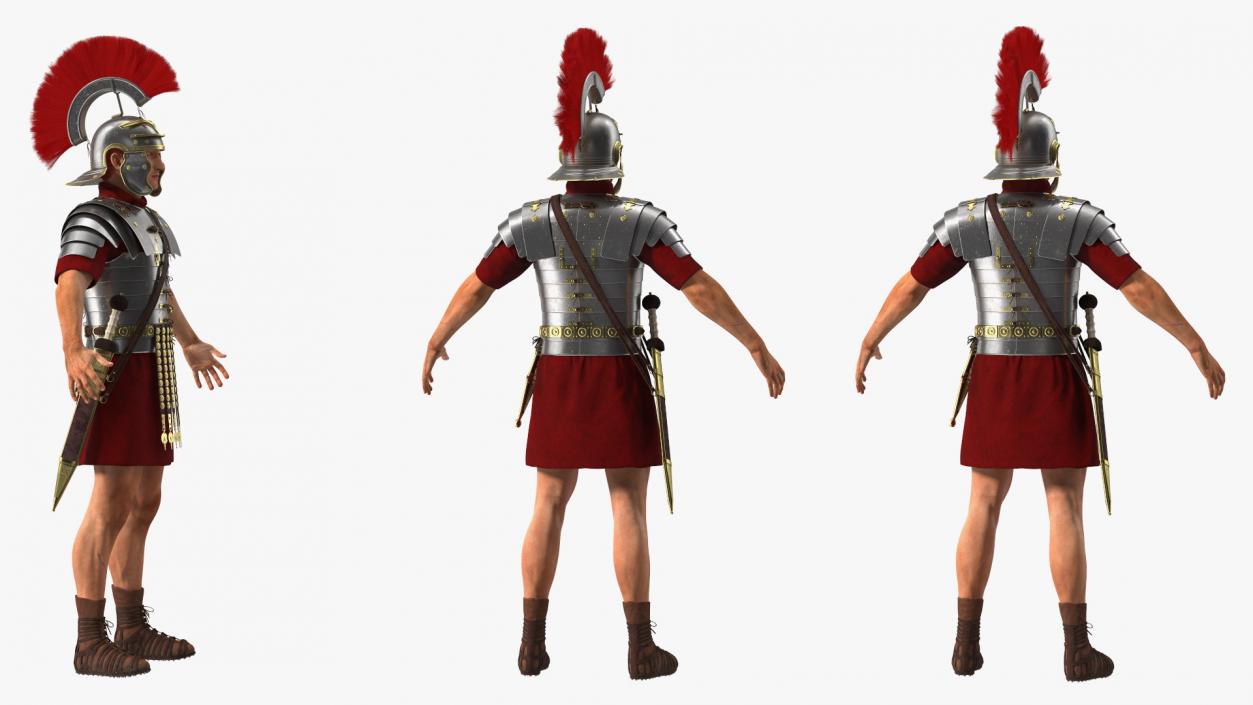 3D Veteran Roman Legionnaire Fur Rigged