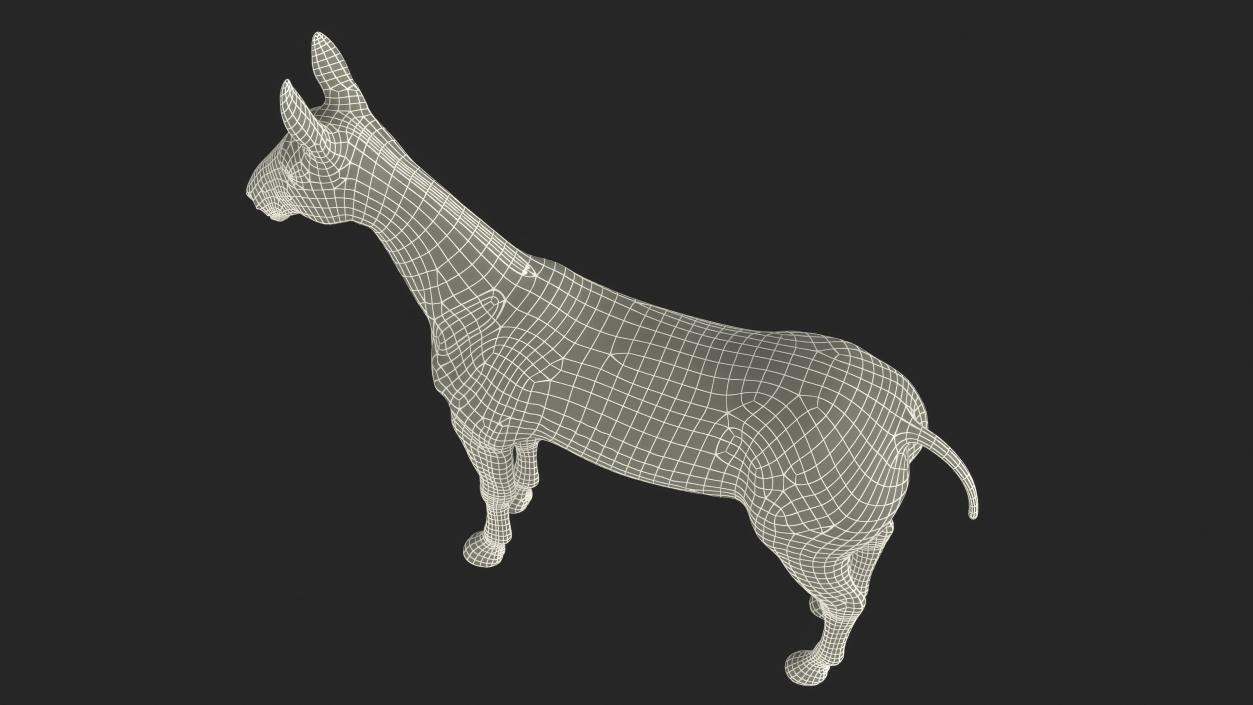 Bay Mule Fur 2 3D model