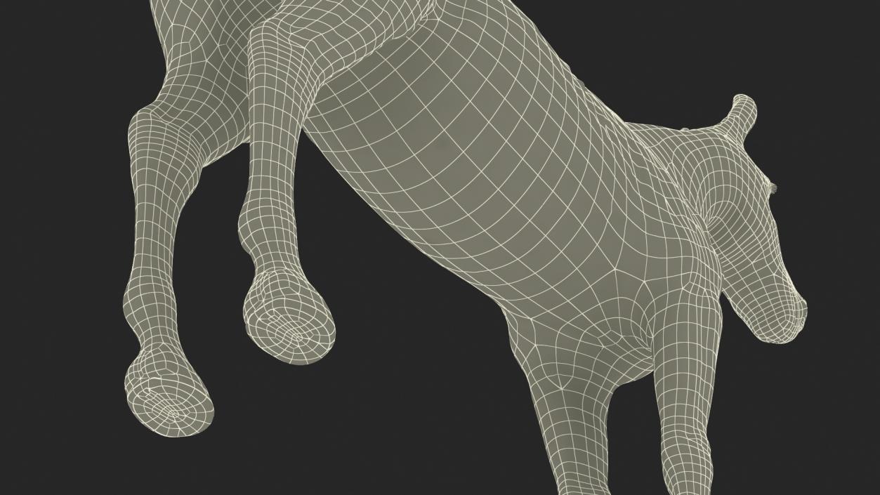 Bay Mule Fur 2 3D model