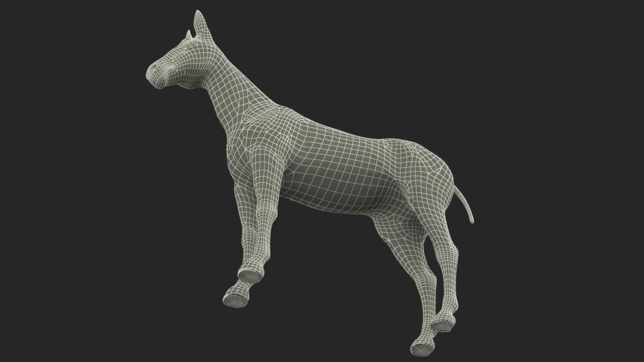 Bay Mule Fur 2 3D model