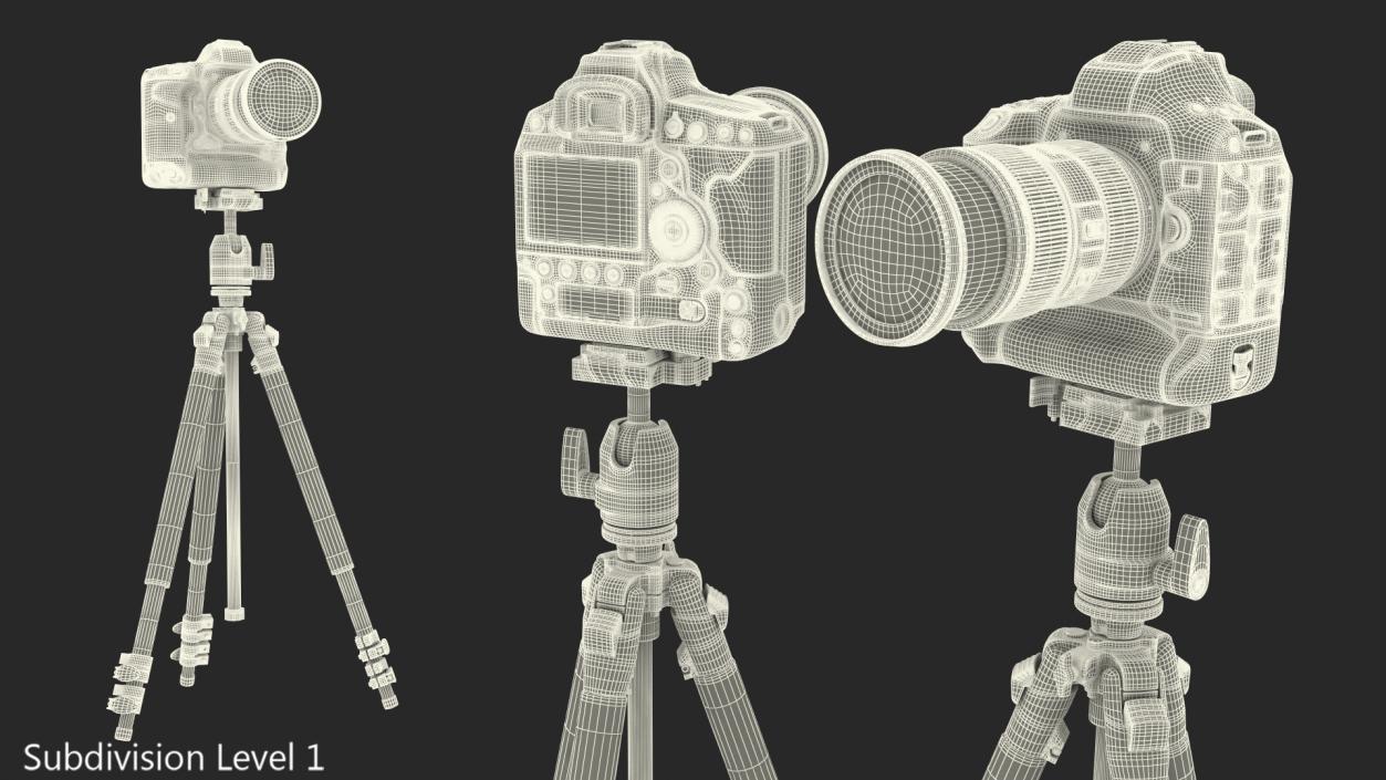 3D DSLR Camera with Zoom on Tripod