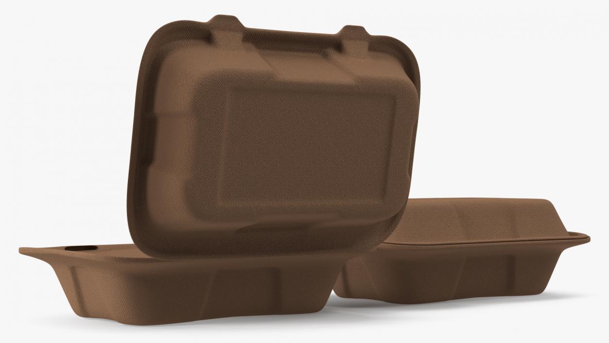 Biodegradable Lunch Box Set 3D