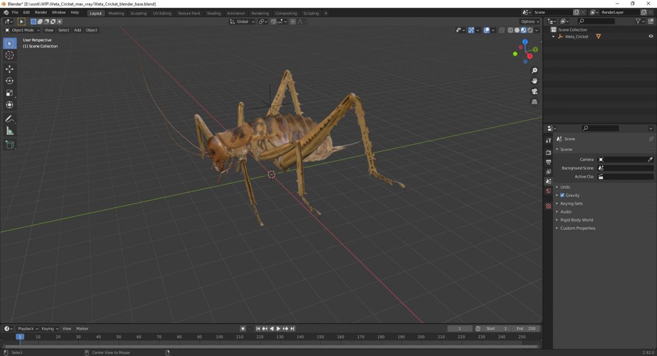 Weta Cricket 3D