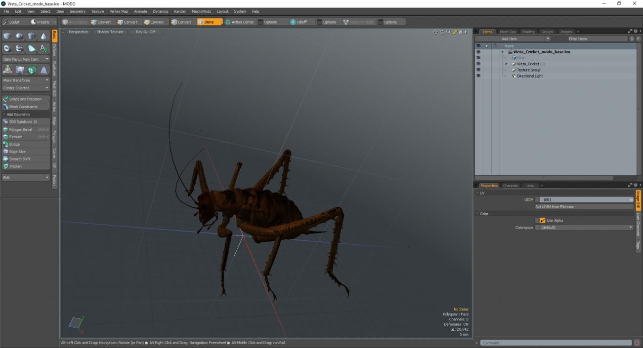 Weta Cricket 3D