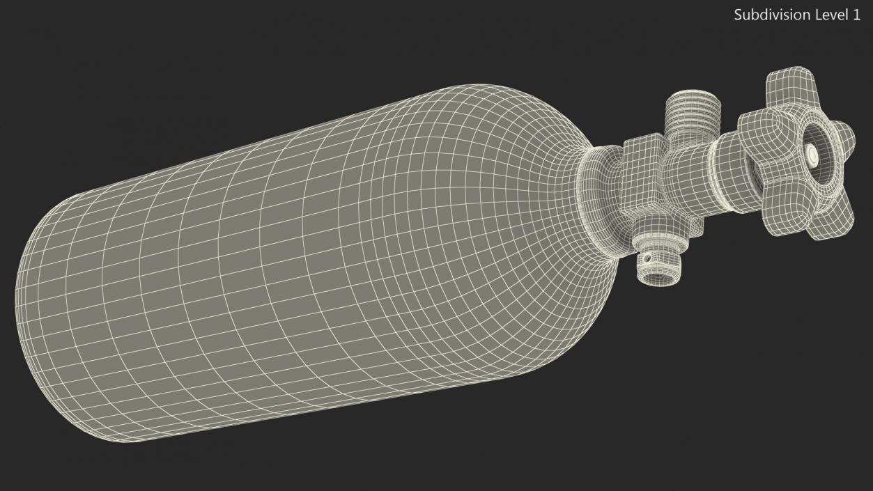 Co2 Tank for Kegerator 3D