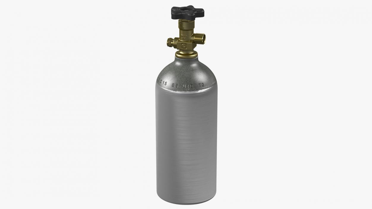 Co2 Tank for Kegerator 3D