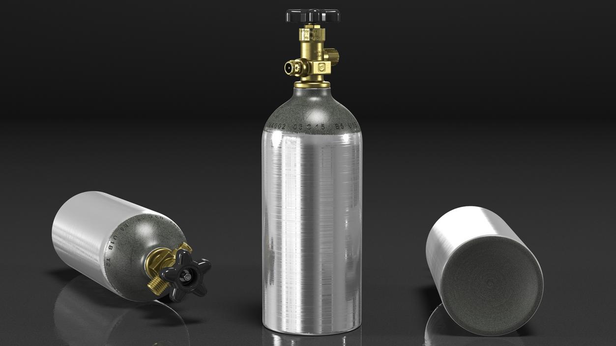 Co2 Tank for Kegerator 3D