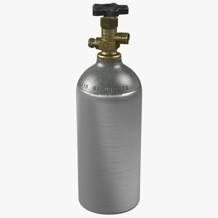 Co2 Tank for Kegerator 3D