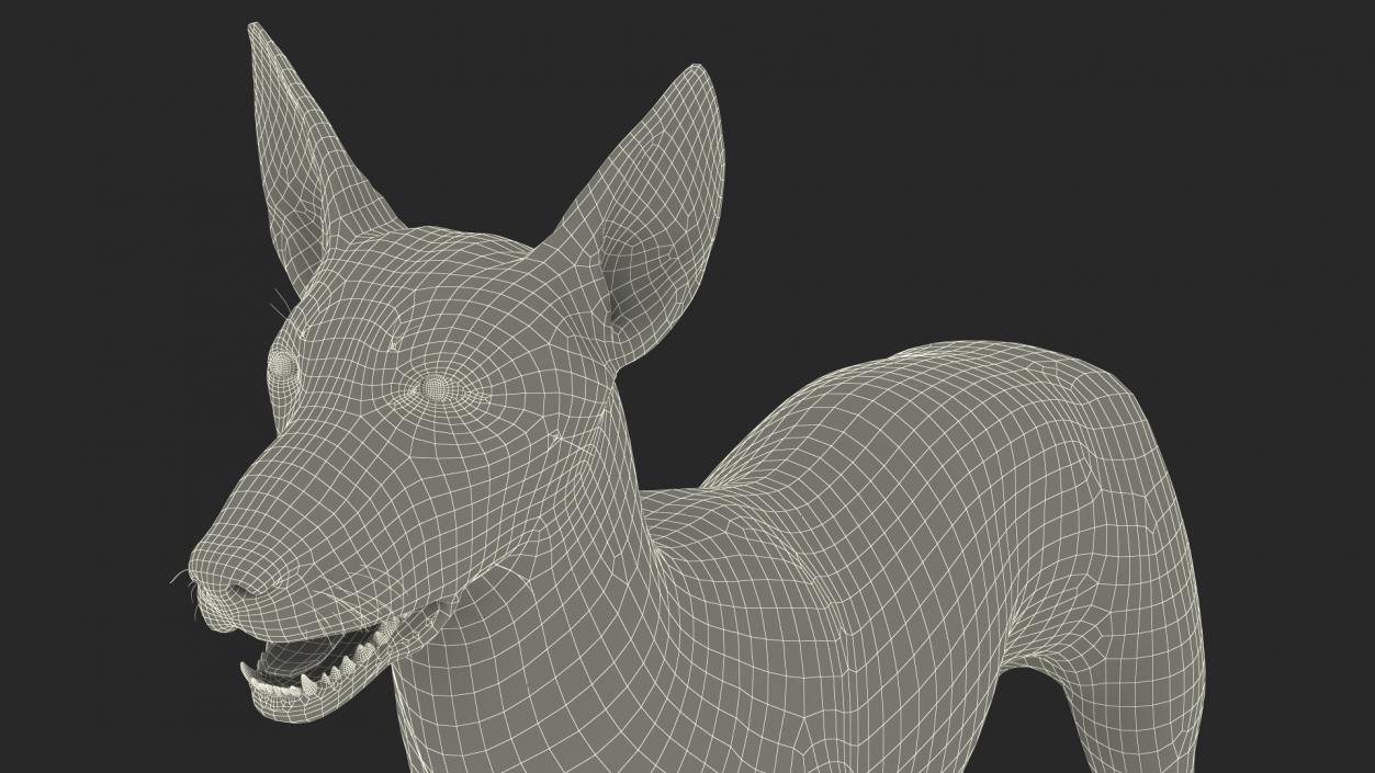 Xoloitzcuintle Dog Bronze Fur Rigged(1) 3D model