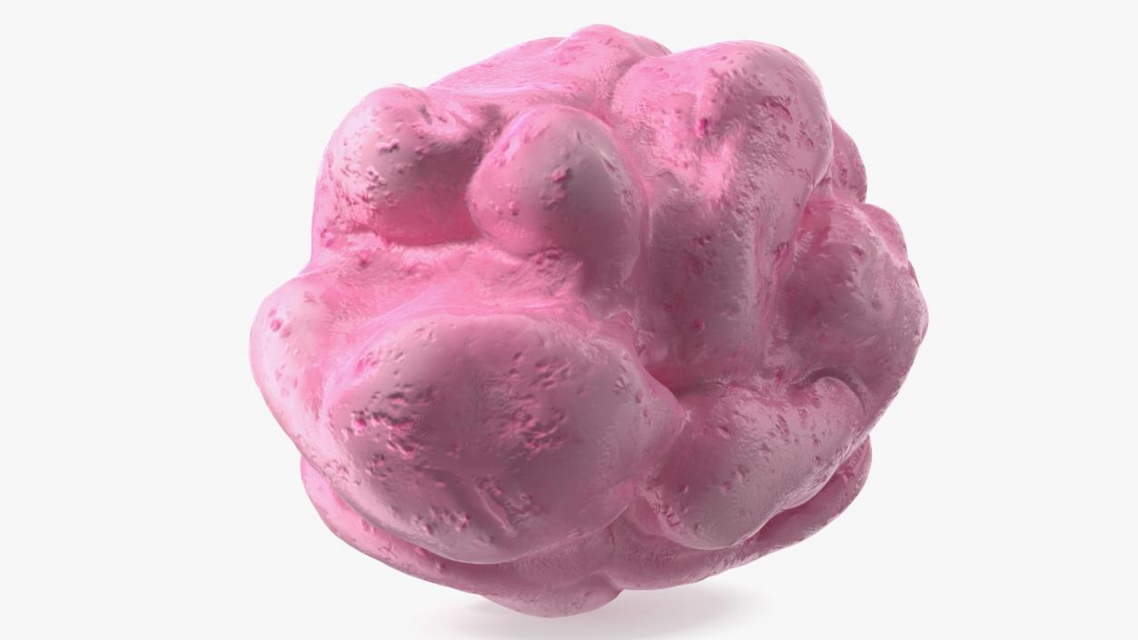 Chewed Bubble Gum Pink 3D