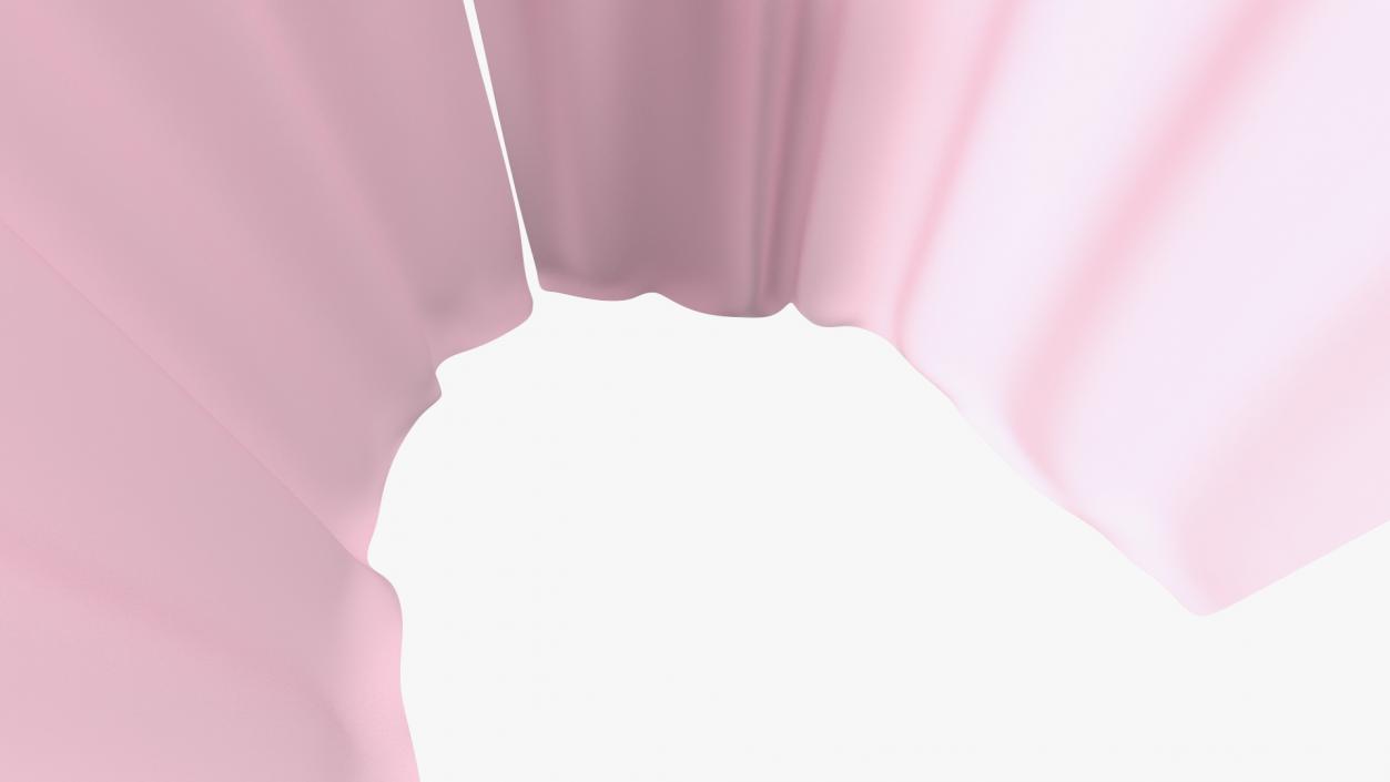 Closed Fitting Room Curtain Pink 3D