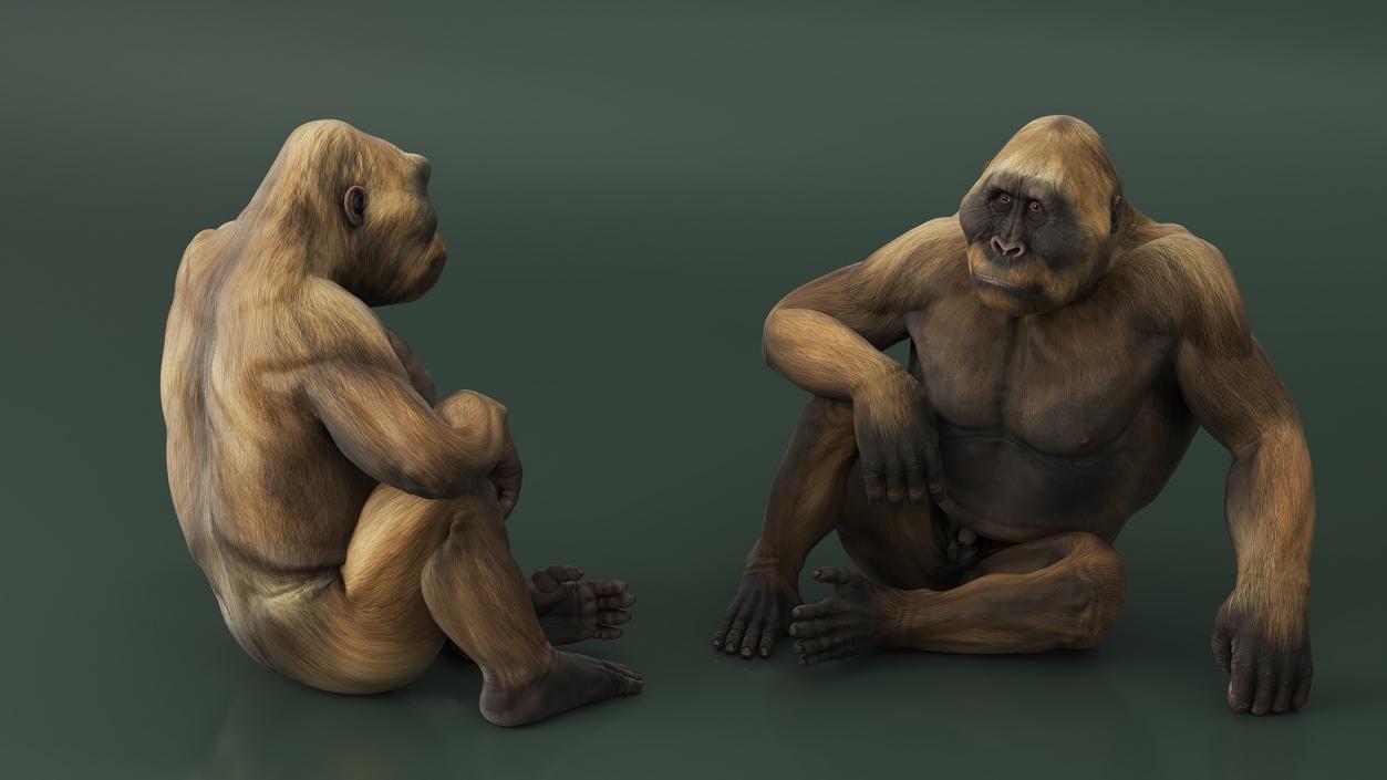 Big Ape Gigantopithecus in Sitting Pose 3D model