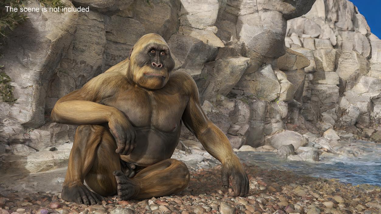 Big Ape Gigantopithecus in Sitting Pose 3D model