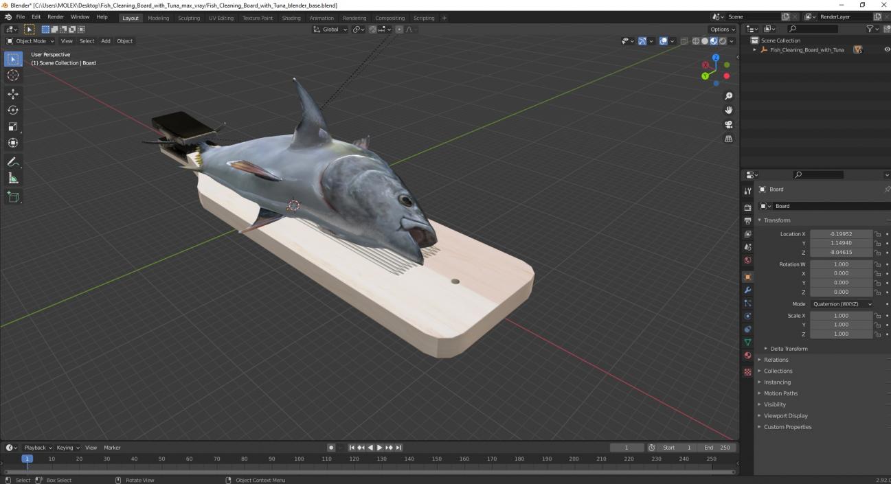 Fish Cleaning Board with Tuna 3D model