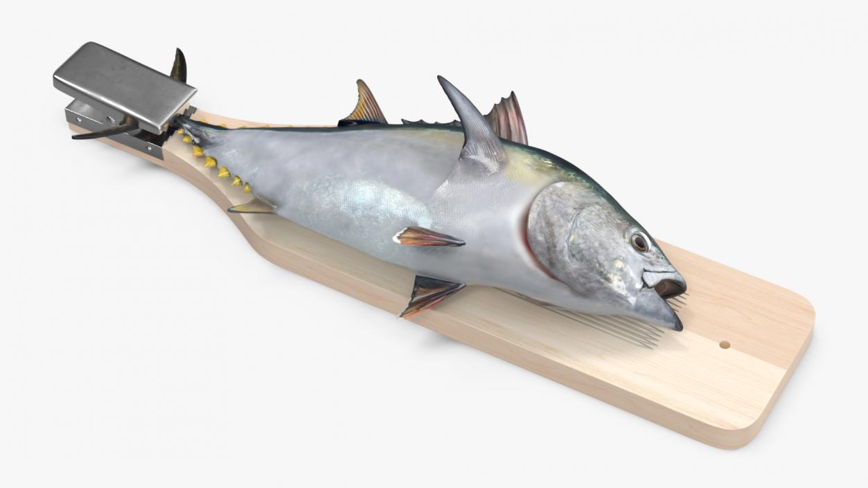 Fish Cleaning Board with Tuna 3D model