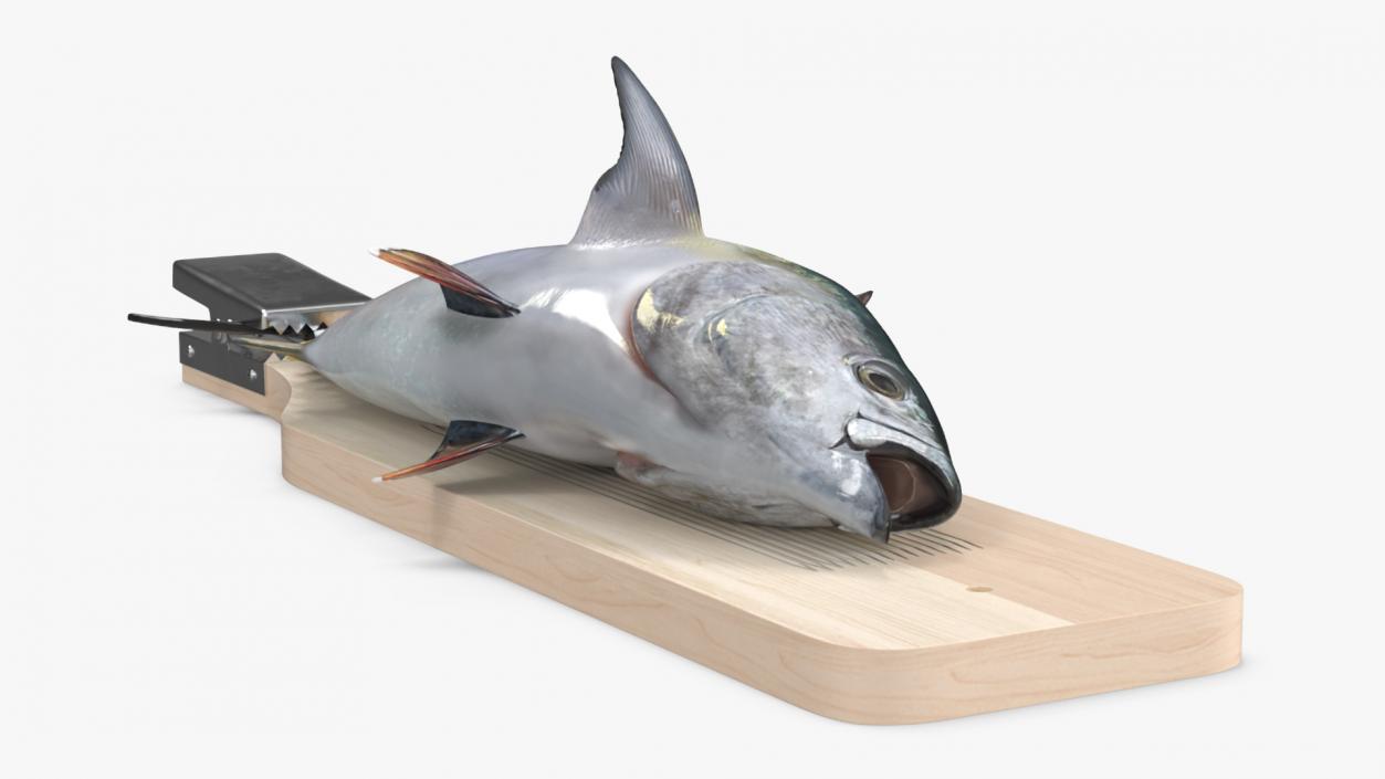 Fish Cleaning Board with Tuna 3D model