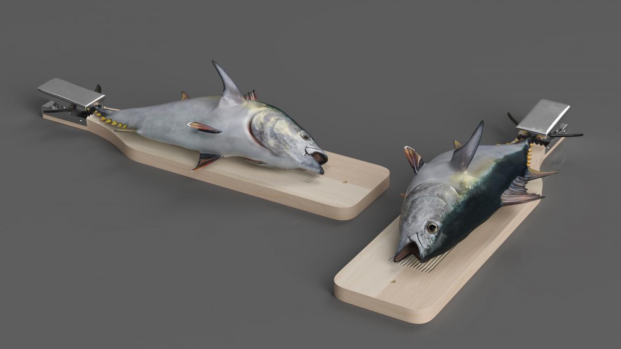 Fish Cleaning Board with Tuna 3D model