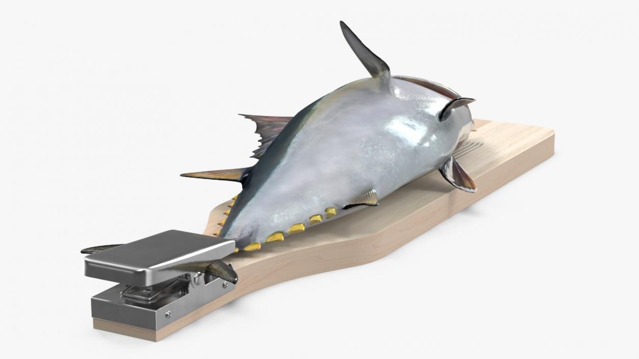 Fish Cleaning Board with Tuna 3D model