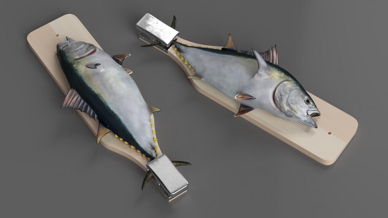 Fish Cleaning Board with Tuna 3D model