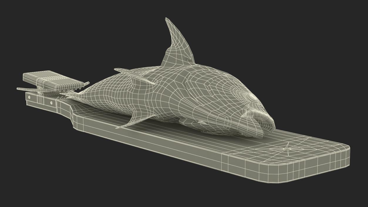 Fish Cleaning Board with Tuna 3D model