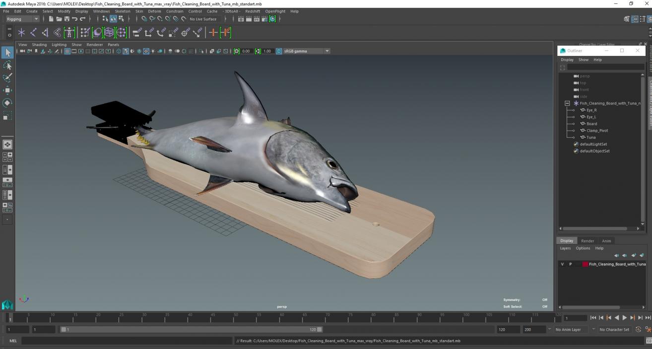 Fish Cleaning Board with Tuna 3D model