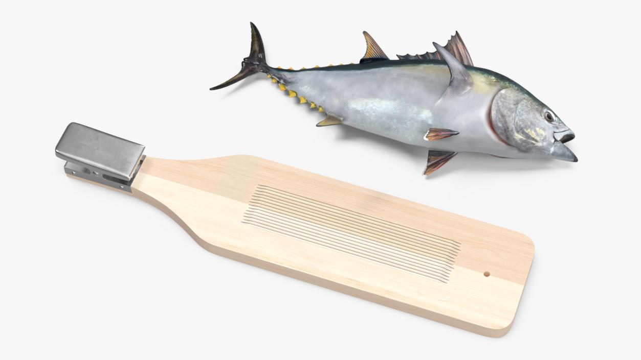 Fish Cleaning Board with Tuna 3D model