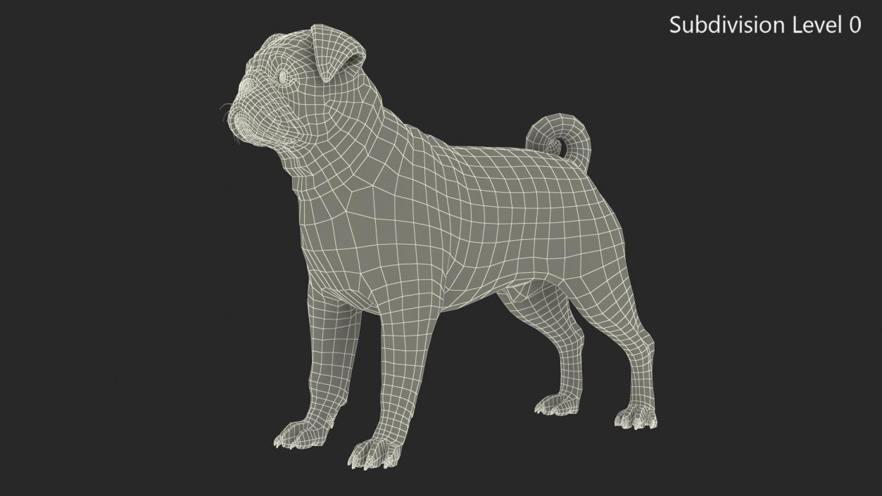 Pug Dog Neutral Pose Fur 3D model