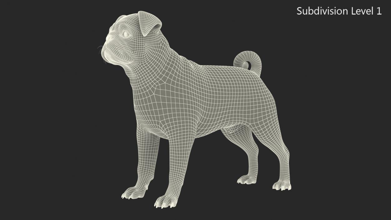 Pug Dog Neutral Pose Fur 3D model