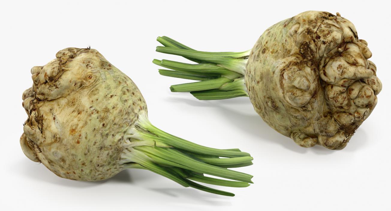 3D Celery Root