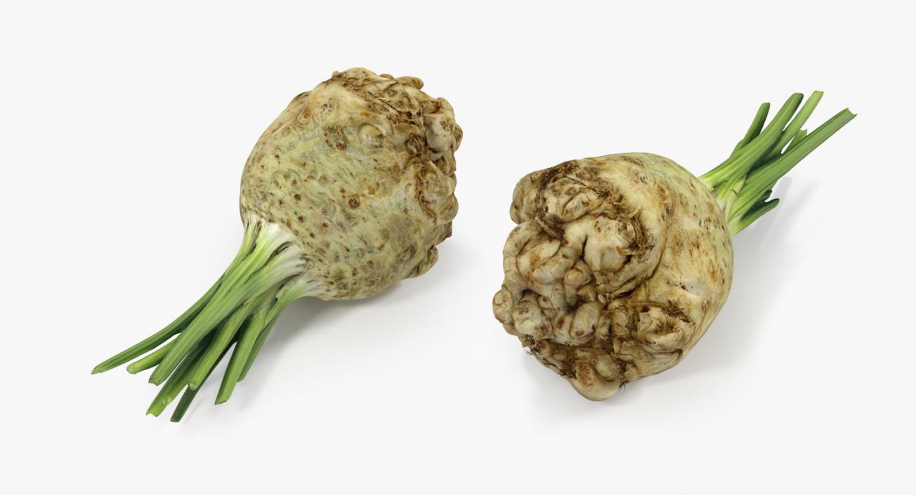 3D Celery Root