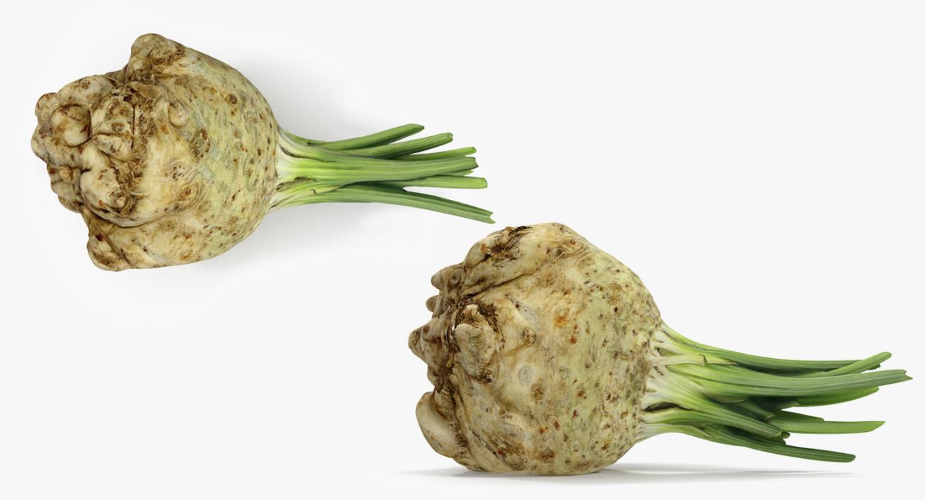 3D Celery Root