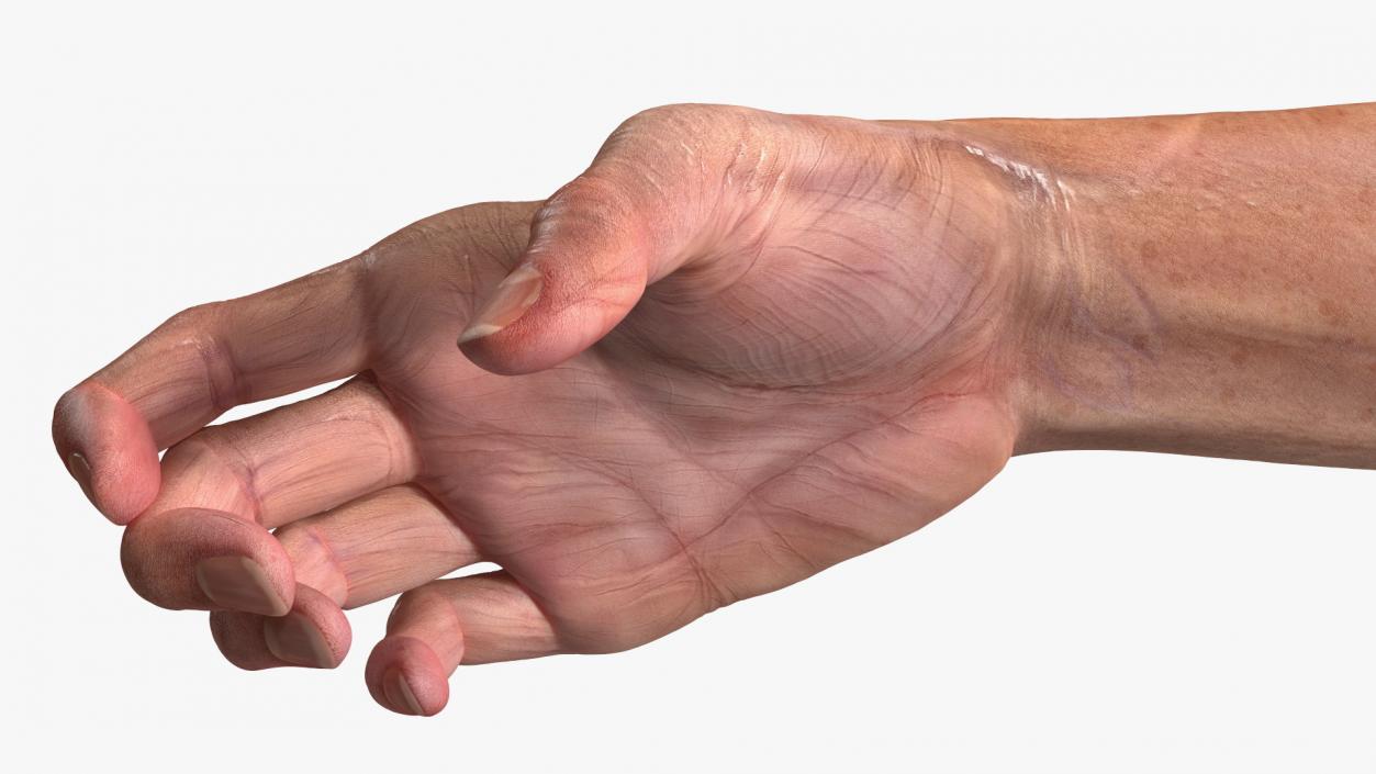 3D Handshake Old Man Hands model