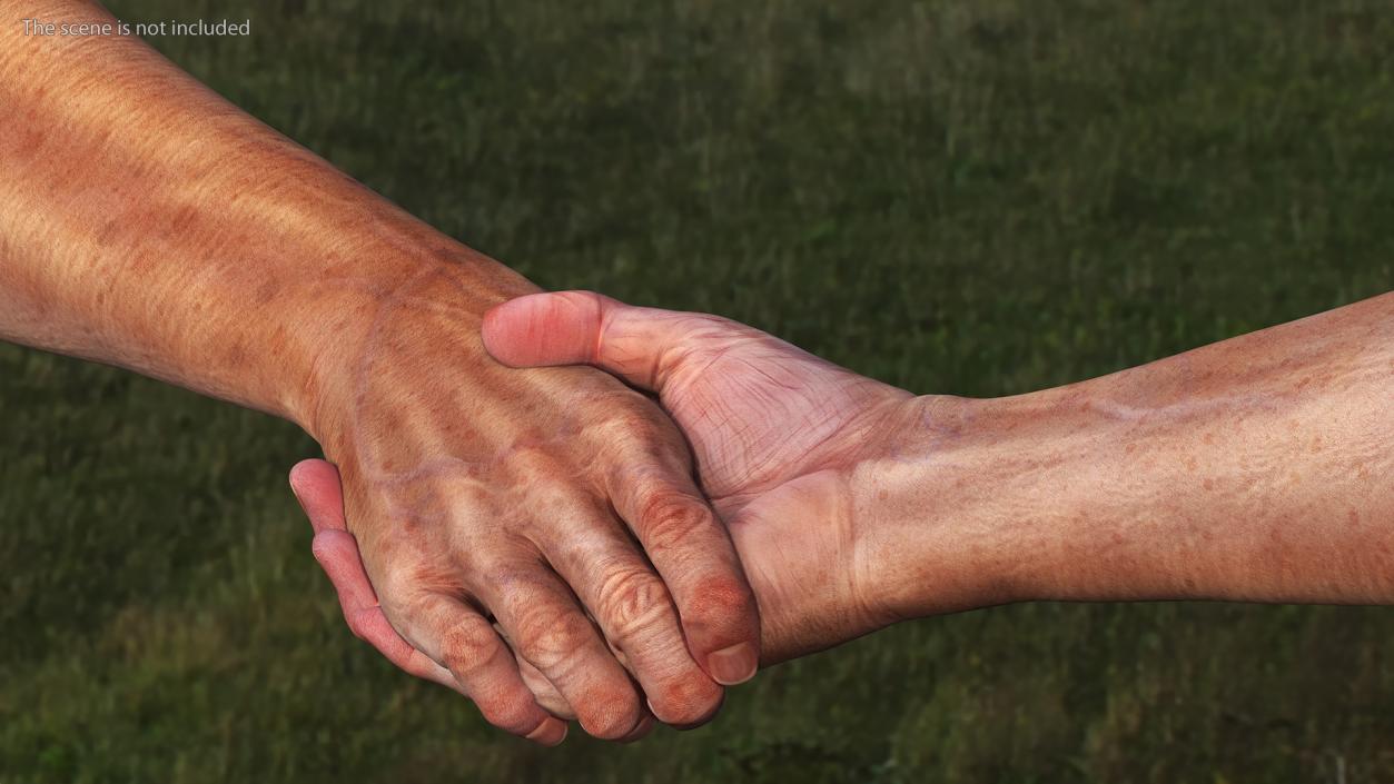 3D Handshake Old Man Hands model